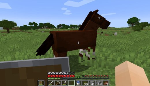 馬やロバの手懐け方！エサ無しでも簡単！？